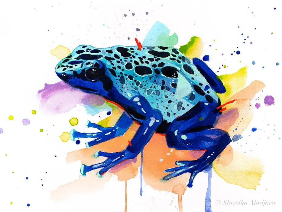Blue poison dart frog watercolor painting, limited edition art print by Slaveika Aladjova, view 4