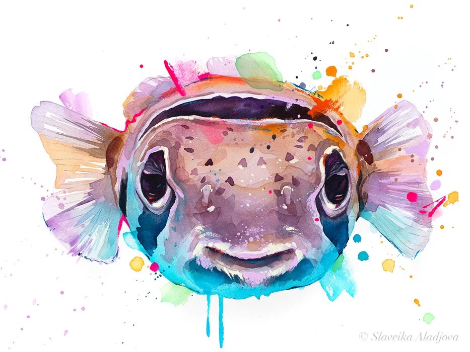 Balloonfish watercolor painting, limited edition art print by Slaveika Aladjova, view 3