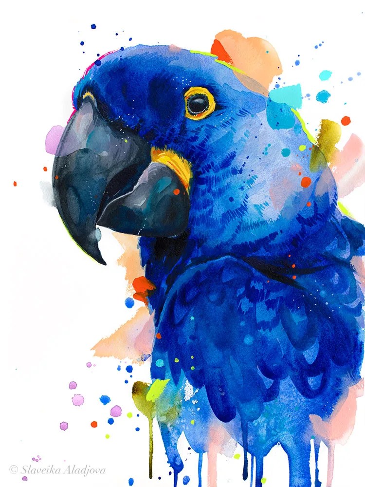 Hyacinth Macaw Parrot watercolor painting print slaveika aladjova