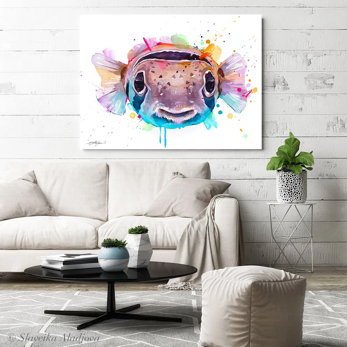 Balloonfish,balloonfish, freckled porcupinefish, porcupine puffer, and porcupine pufferfish, slaveika aladjova