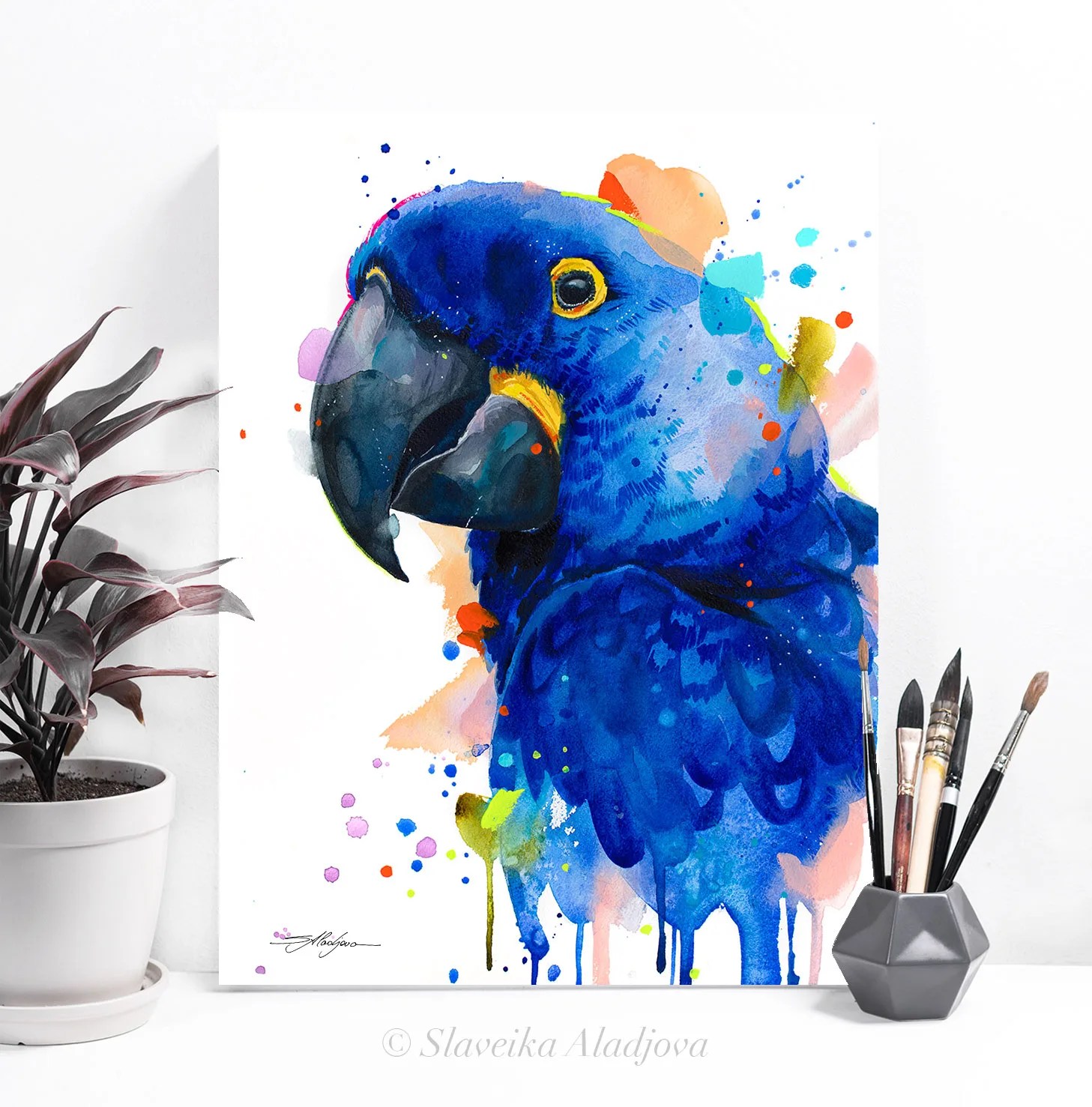 Hyacinth Macaw Parrot watercolor painting print slaveika aladjova