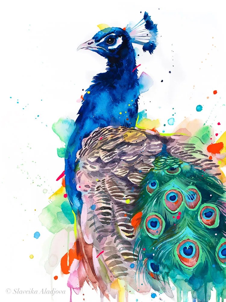 Peacock watercolor painting print