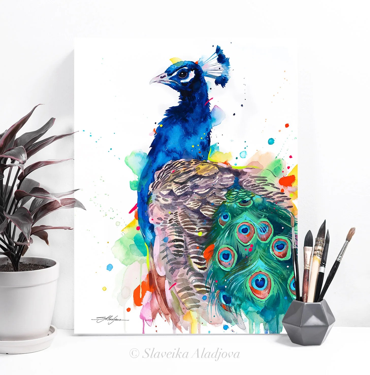 Peacock watercolor painting print