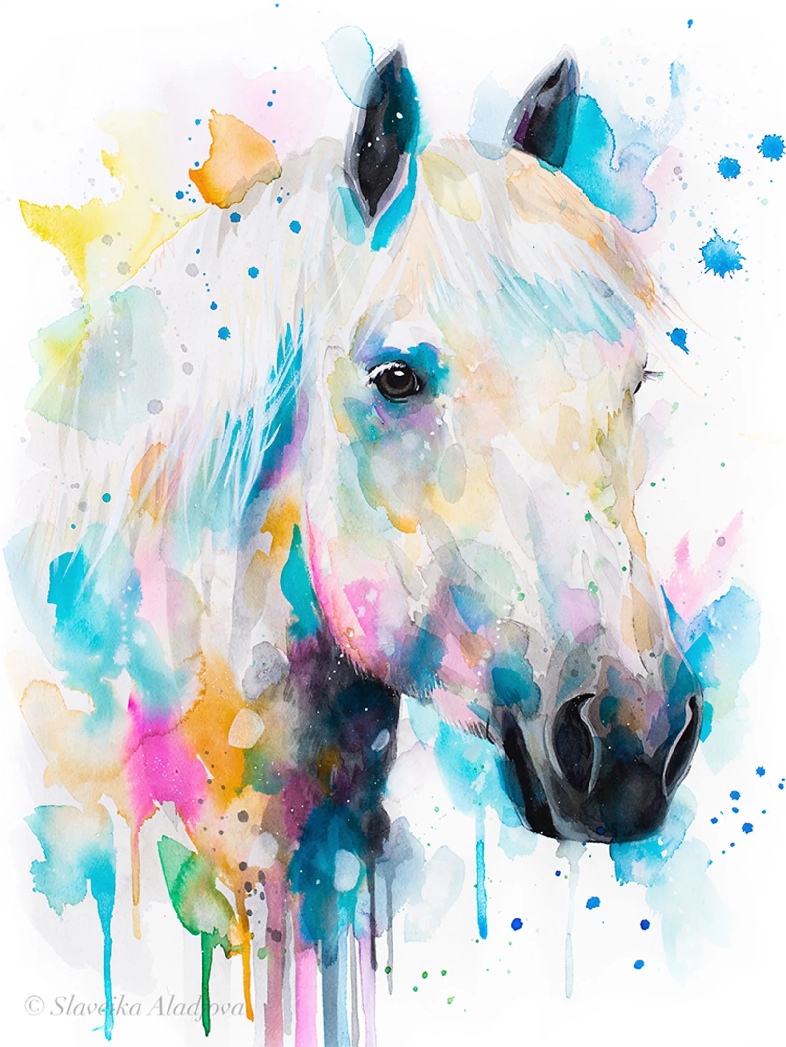 Percherons horse
