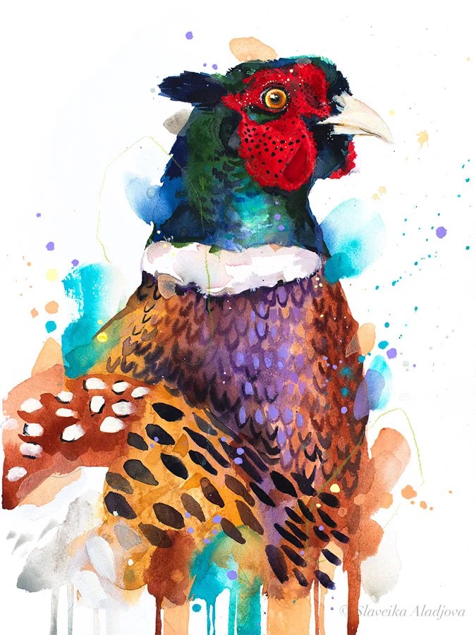 Pheasant