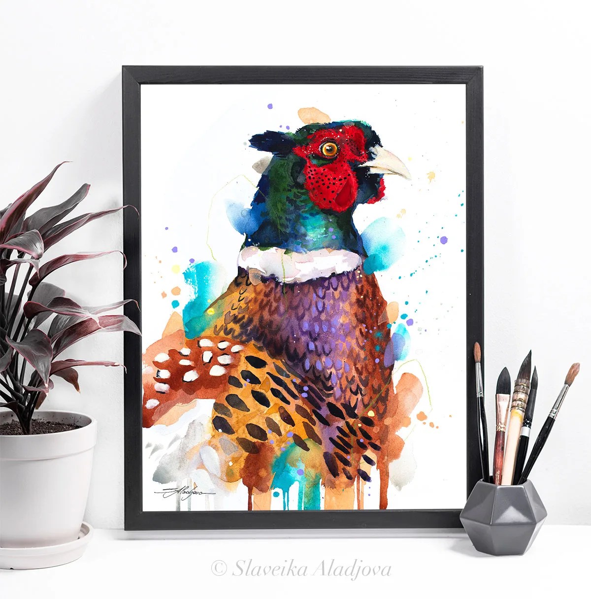 Pheasant