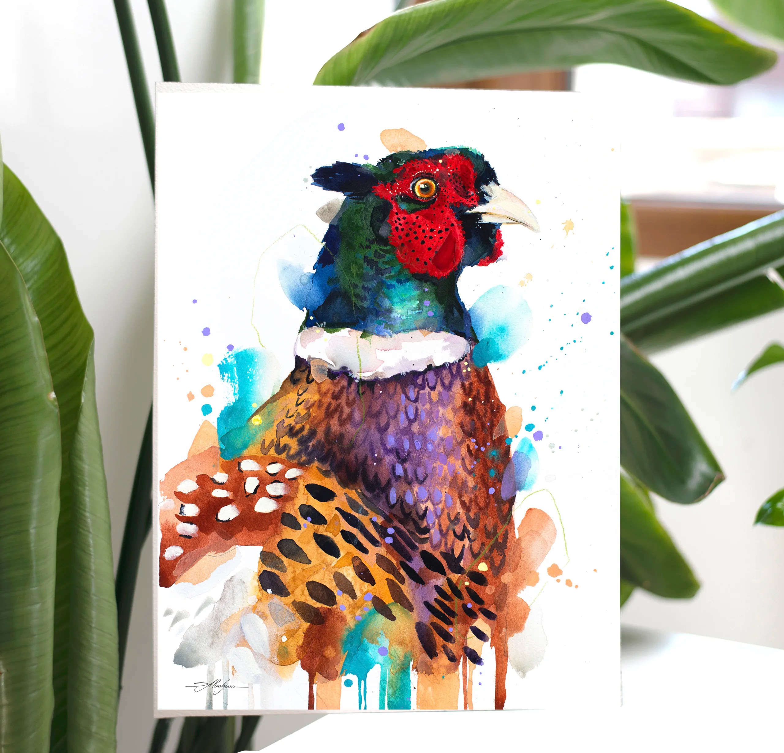 Pheasant