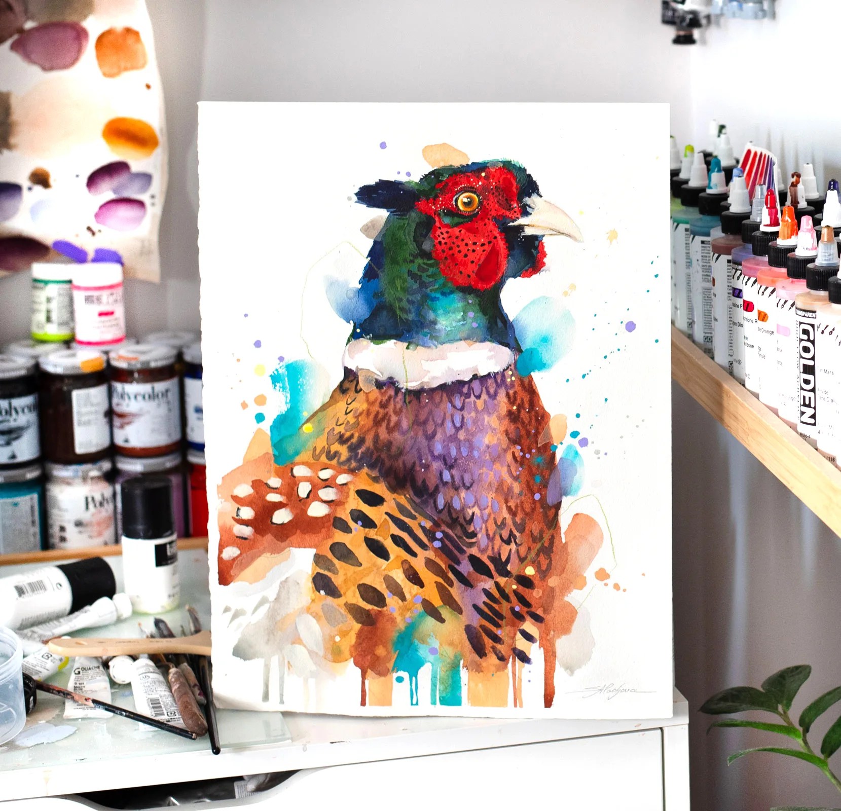 Pheasant