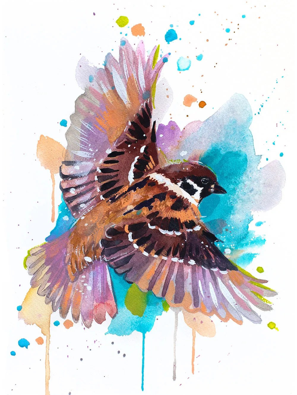 Sparrow