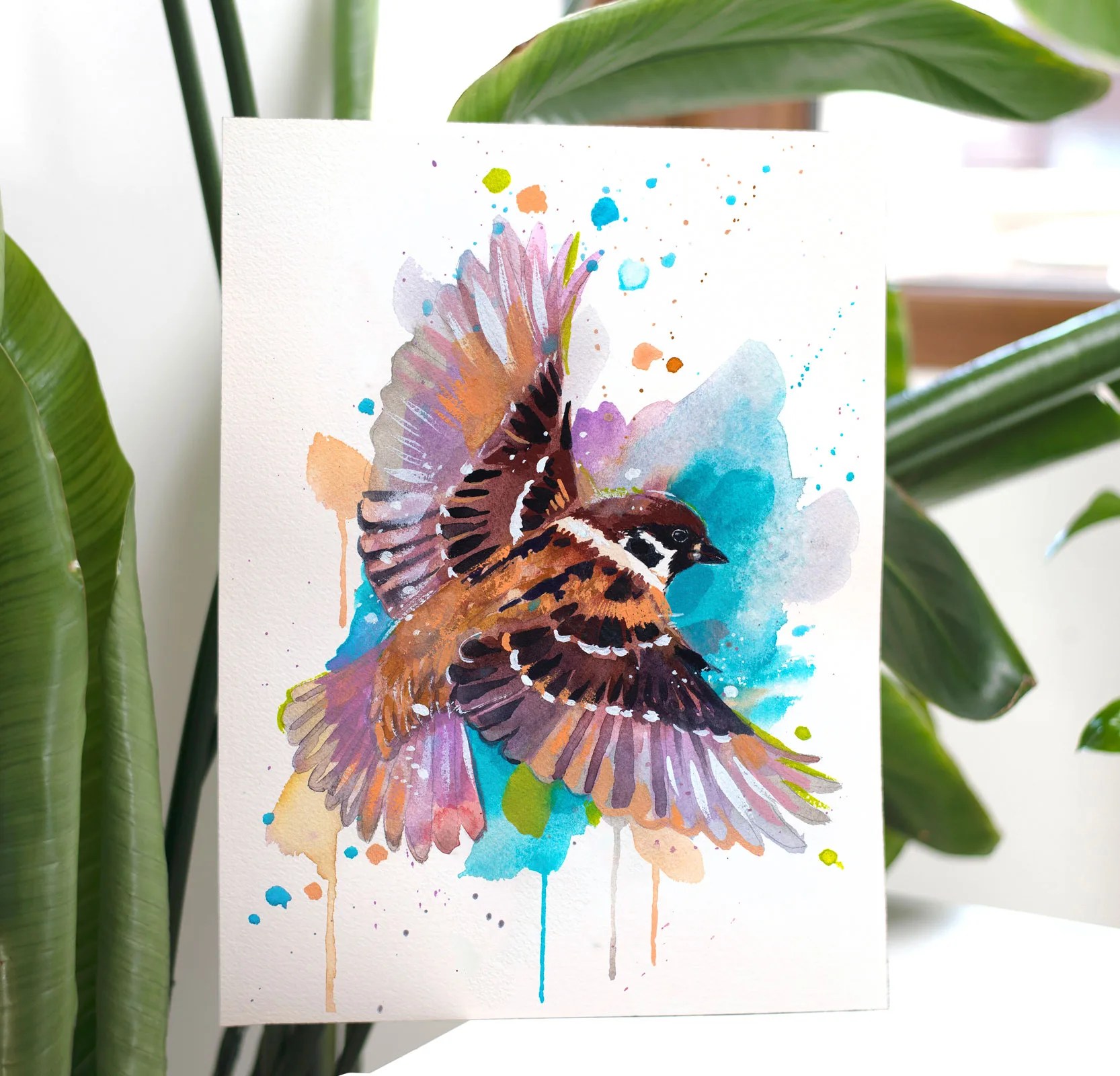 Sparrow