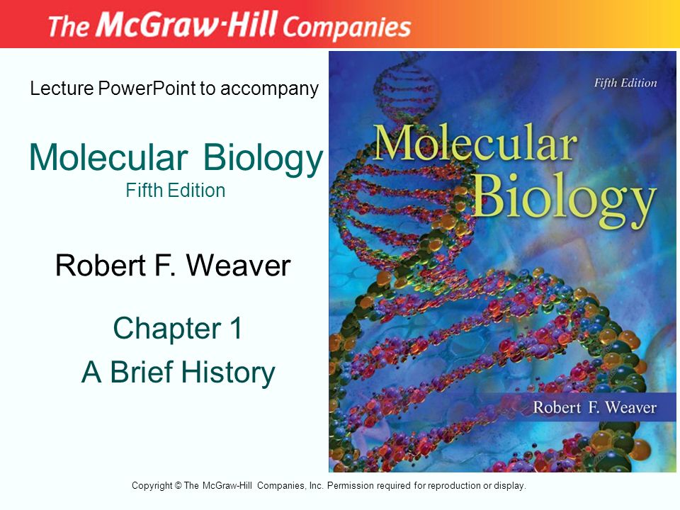 Arrow_back browse course material library_books. Molecular Biology Fifth Edition Ppt Video Online Download