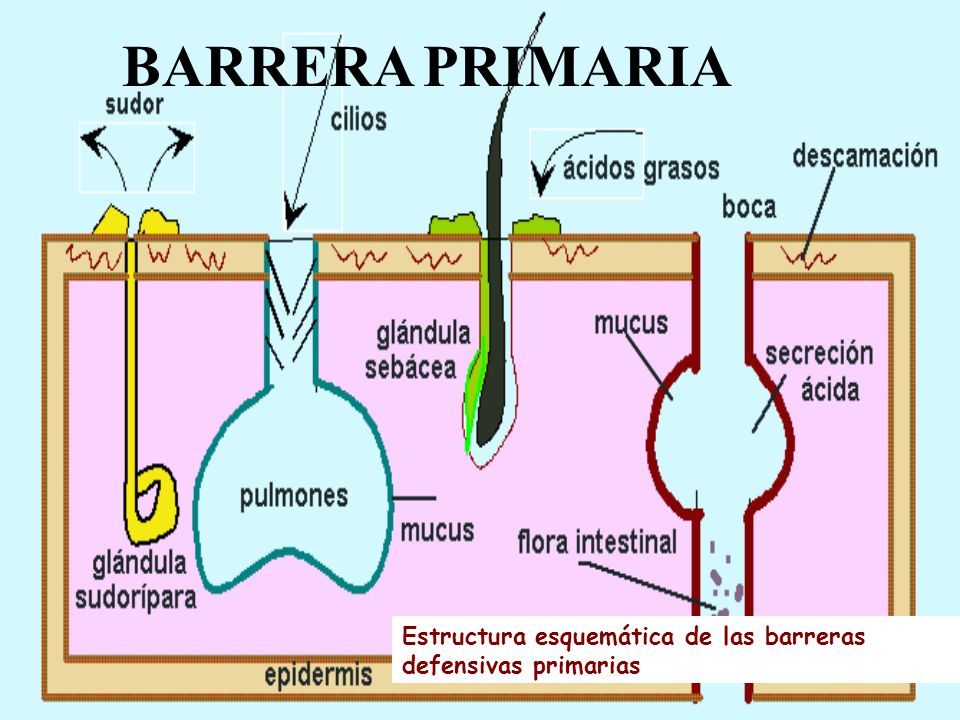 Imagen relacionada