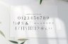 Gallery image item #12