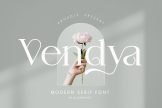 Product image of Vendya – Modern Serif Font