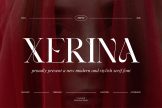 Product image of Xerina || Modern Serif Font
