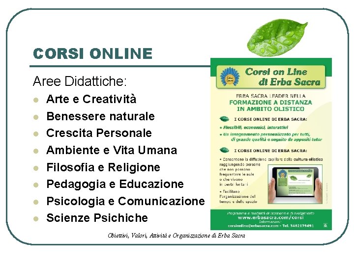 Centro Di Ricerca Erba Sacra Piazza San Giovanni 540_x_720_jpg