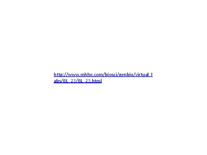 1 Go To Bio Rutgers Edu Gb101 Lab2 Mitosis Index2 Html What differences can you see when you compare the nucleus of a dividing cell with that of a non-dividing cell.