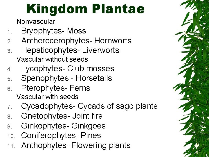 Plants The Essentials Classification Of Plants Bryophytes Live Add 8 to both sides.