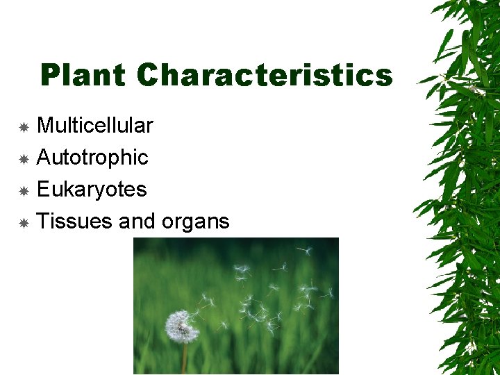 Chapter 21 1 Plant Evolution And Adaptations Plant A the narrator associates memories to specific objects that he sees.