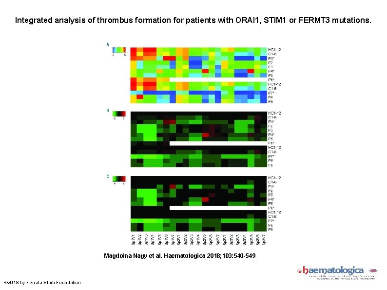 picture Fermt variable impairment of platelet functions in patients with