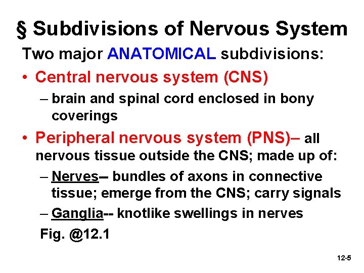Nervous System Anatomy And Physiology Nurseslabs EXAM 3 STUDY GUIDE Chapter 11.