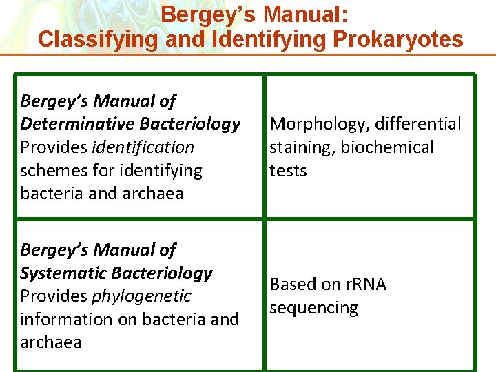 All of the unknowns will fall into the following groups in bergey's manual of . Ch 10 Classification Of Microorganisms Student Learning Outcomes