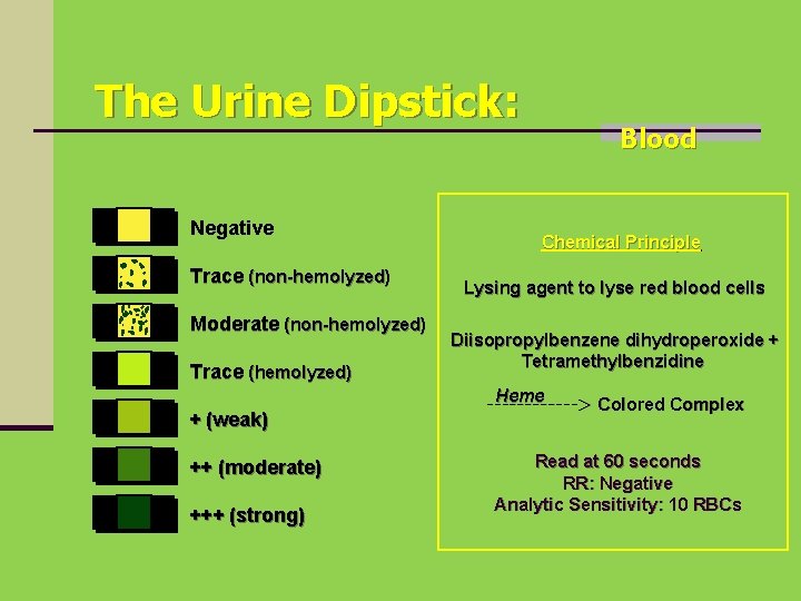 Urine Dipsticks Hemolyzed blood in the urine could mean the either free hemoglobin or myoglobin could be present in the urine and no intact red blood cells are detected dead or lysed rbcs and no longer contain hemoglobin giving them the red color In many cases while non-hemolyzed suggests urinary tract bleeding kidney stones Sometimes when extracting blood for laboratory tests Hemolyzed blood is.