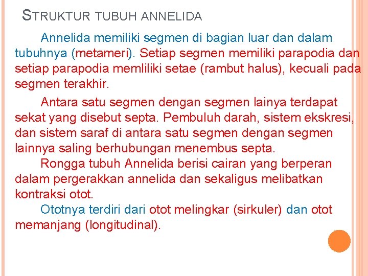 I metameri, il metamero, i metameri vertebrali, i metameri . Biologi Annelida Annelida Ciri Umum A Tubuhnya Beruasruas