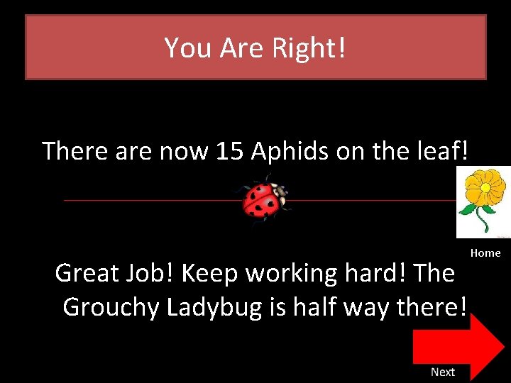 Clock hoops can be used for math activities:. The Grouchy Ladybug Math Based On The Story