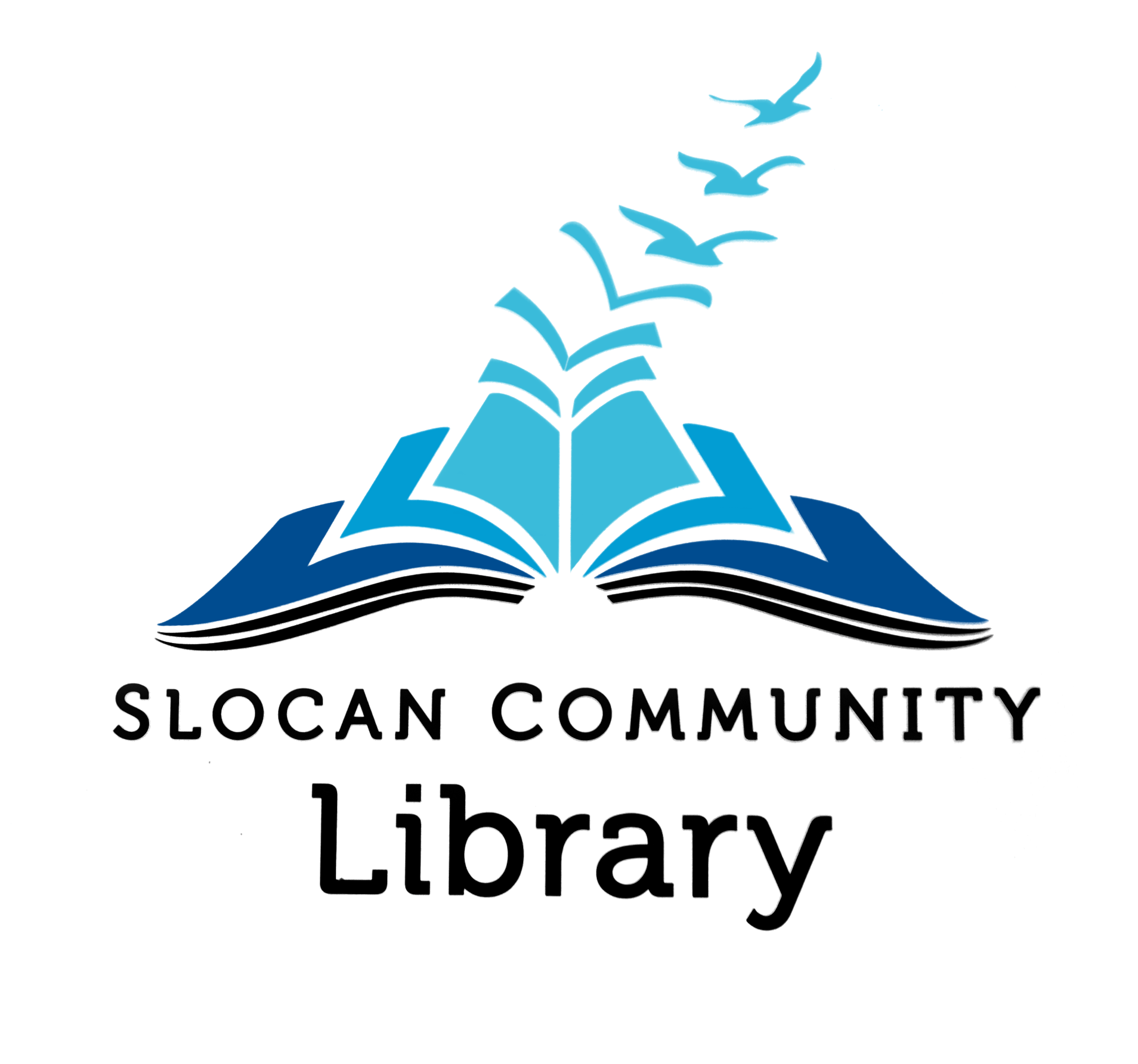 lib_logo1
