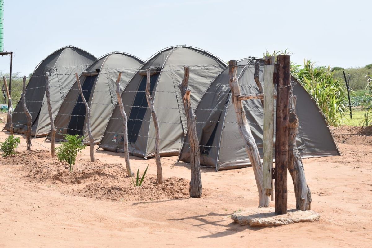 Bring Your Own Tent (BYOT) Campsite