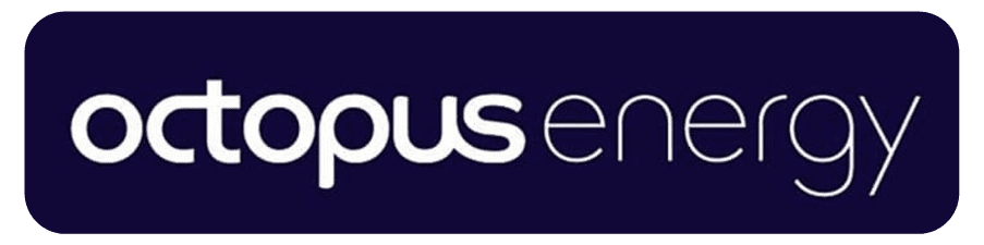 Octopus Energy Moving Home Update Address 2021