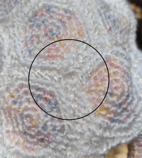 close-up of a hole in the shell