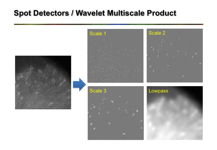 Pdf Bayesian Based Despeckling In Wavelet Domain Using A Trous - Minimal Arts - Artistic High Resolution Collection