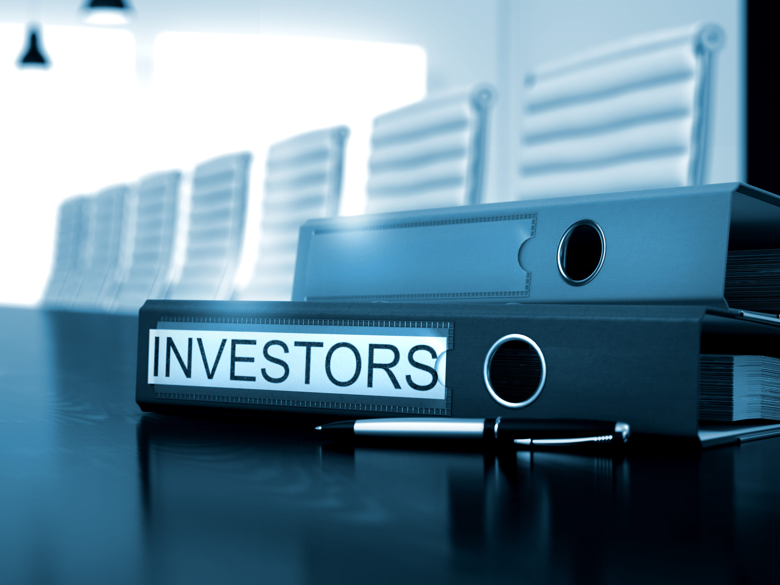How can we get businesses and investors speaking the same language?