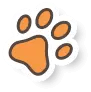 vector-image