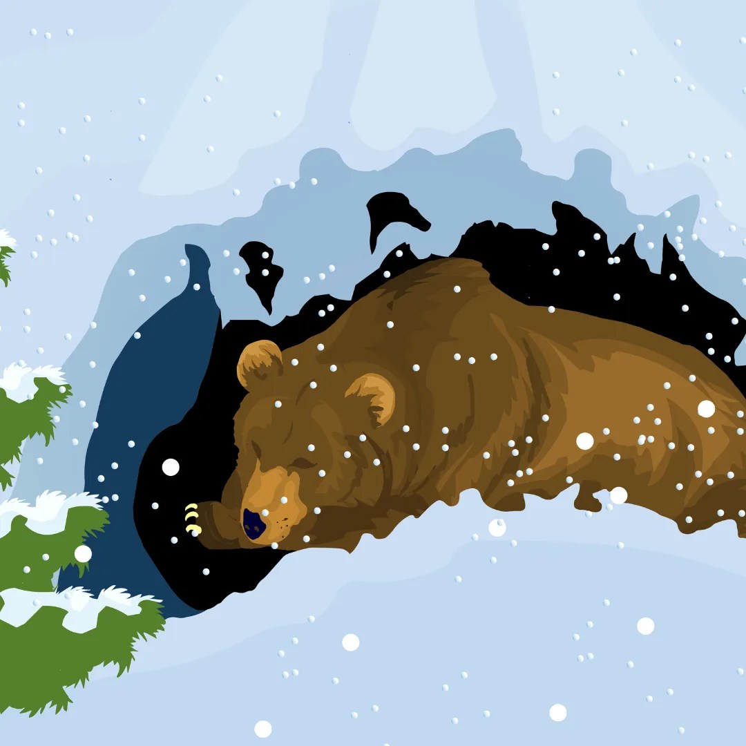 Do guinea pigs hibernate? unveiling the winter mystery