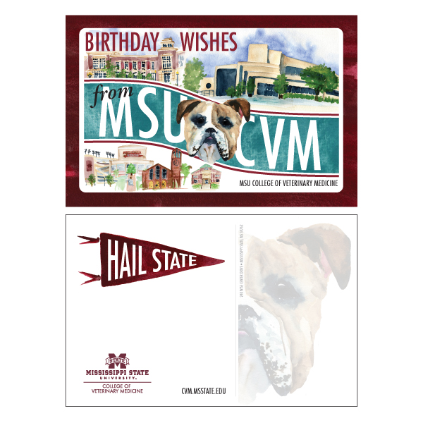 Postcard: Mississippi State University College of Veterinary Medicine