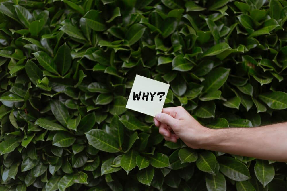 Why build a tiny house sticky note
