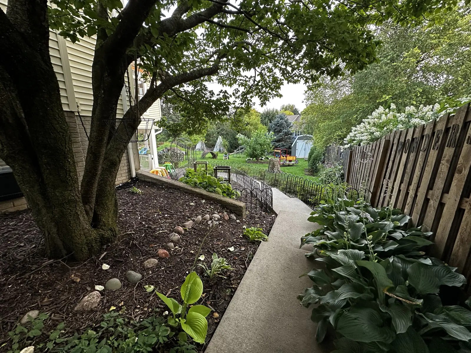 Photo of the Approach path under tree