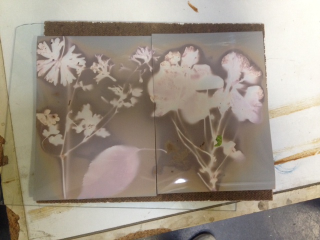 Lumen Prints - Light Works Project