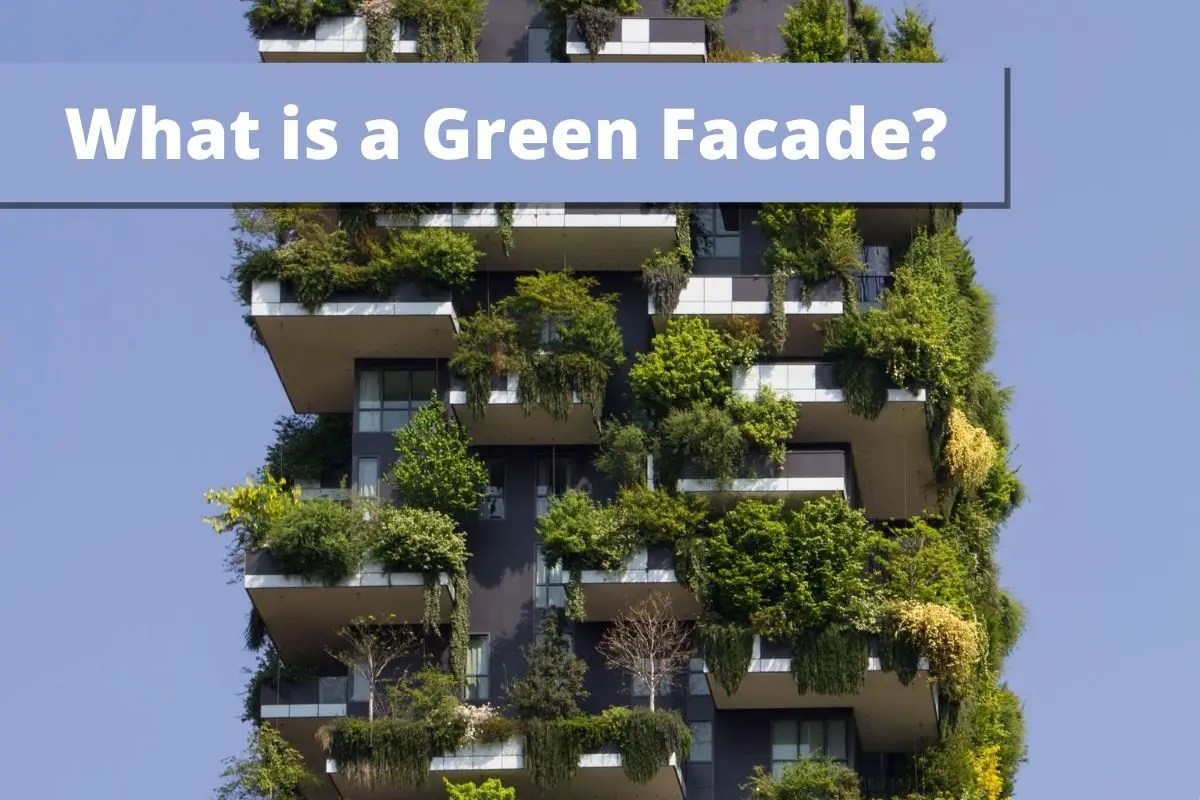 Green Facade Definition And Examples Smart Cre