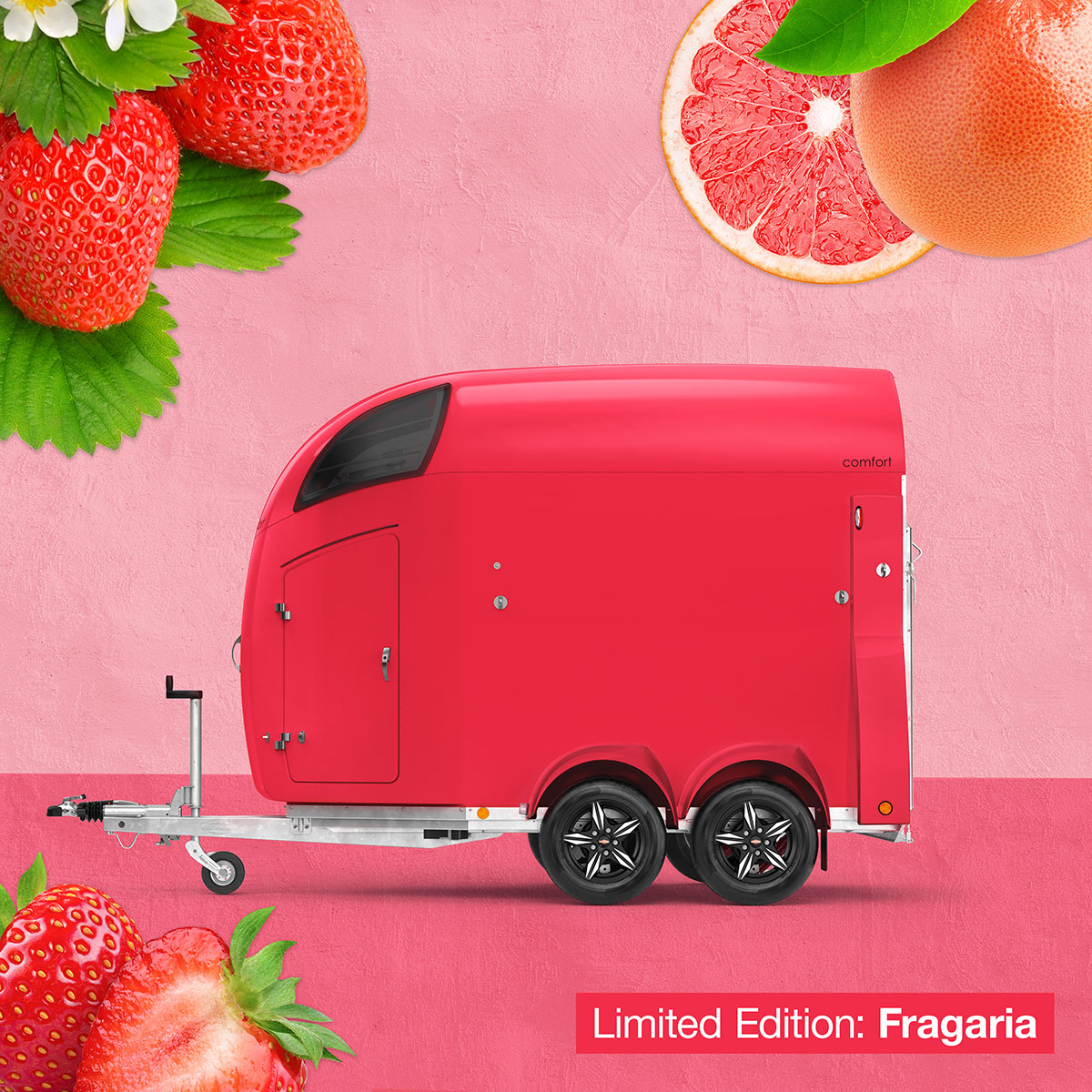 Fragaria horse trailer