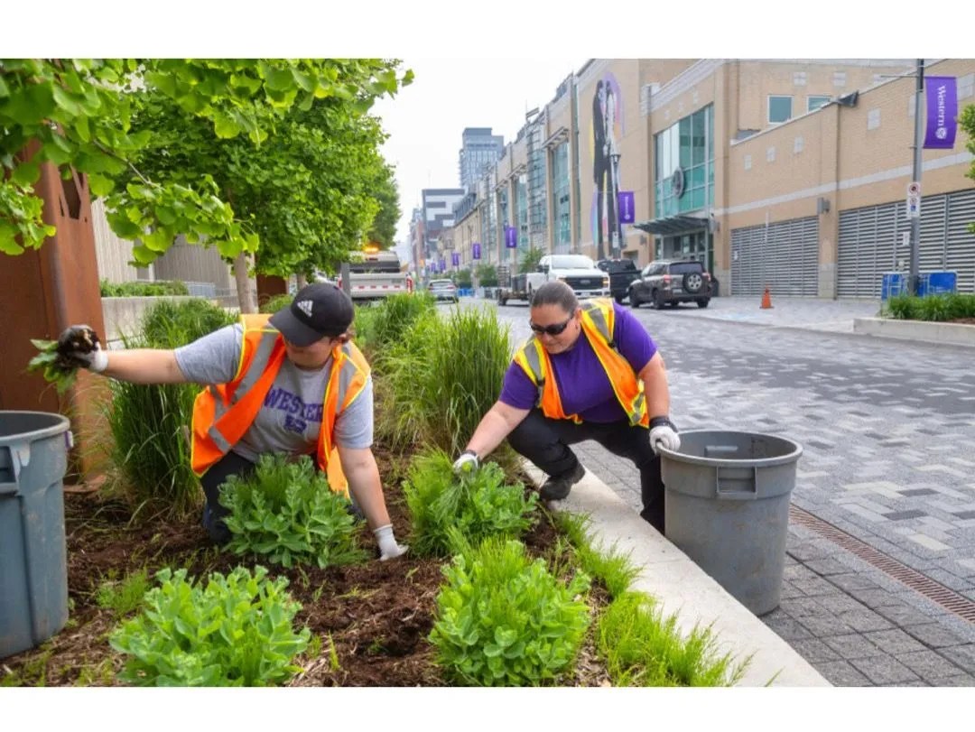 Convocation central: London’s arena district braces for two mega-grads