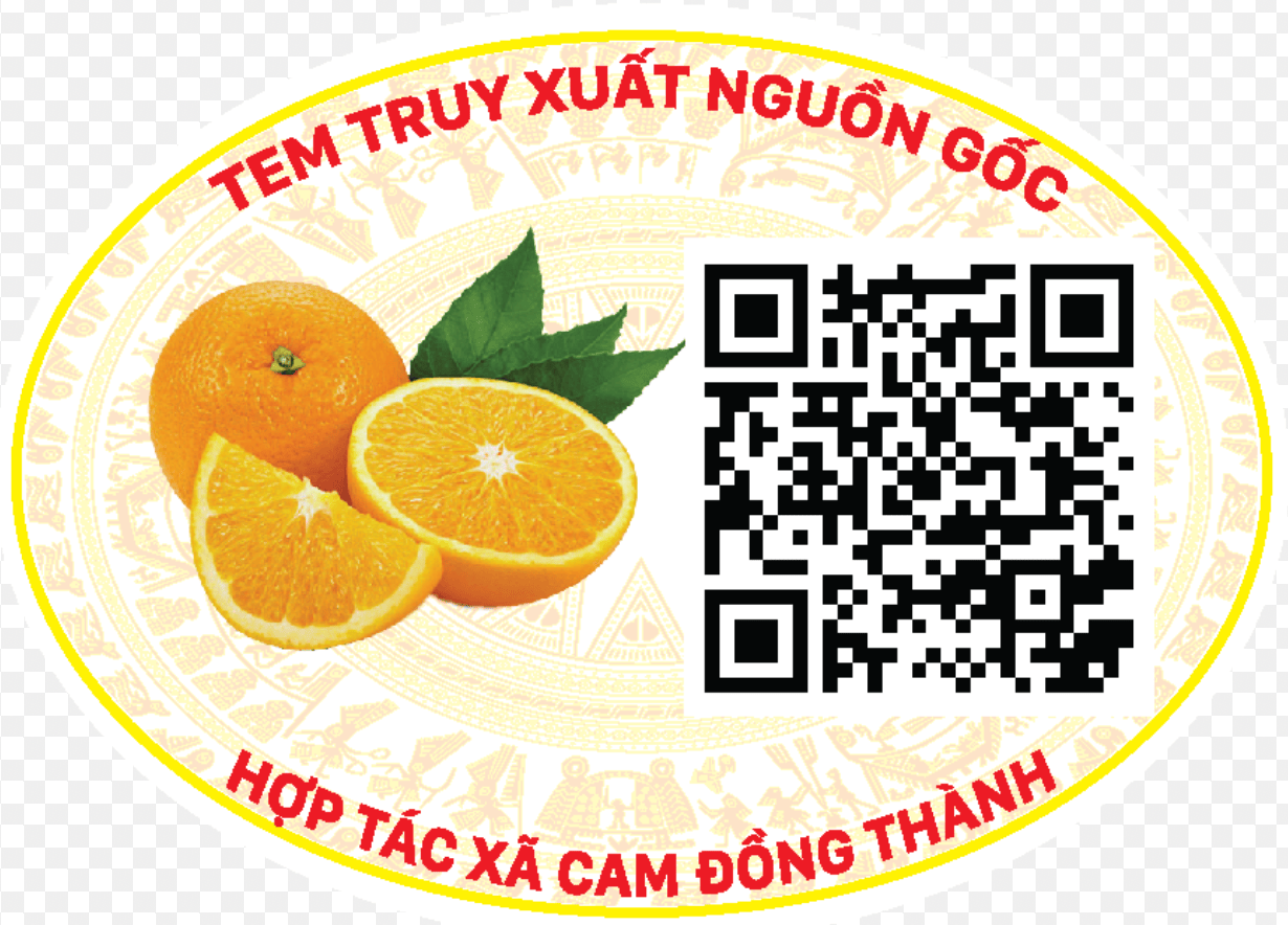 Smartcheck | SmartCheck.vn