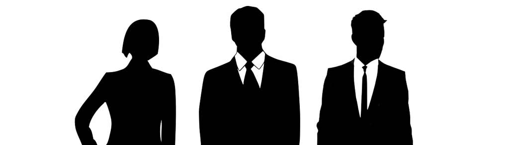 THE-ROLES-OF-DIRECTOR-AND-COMMISIONER-OF-A-LIMITED-LIABILITY-COMPANY-PT
