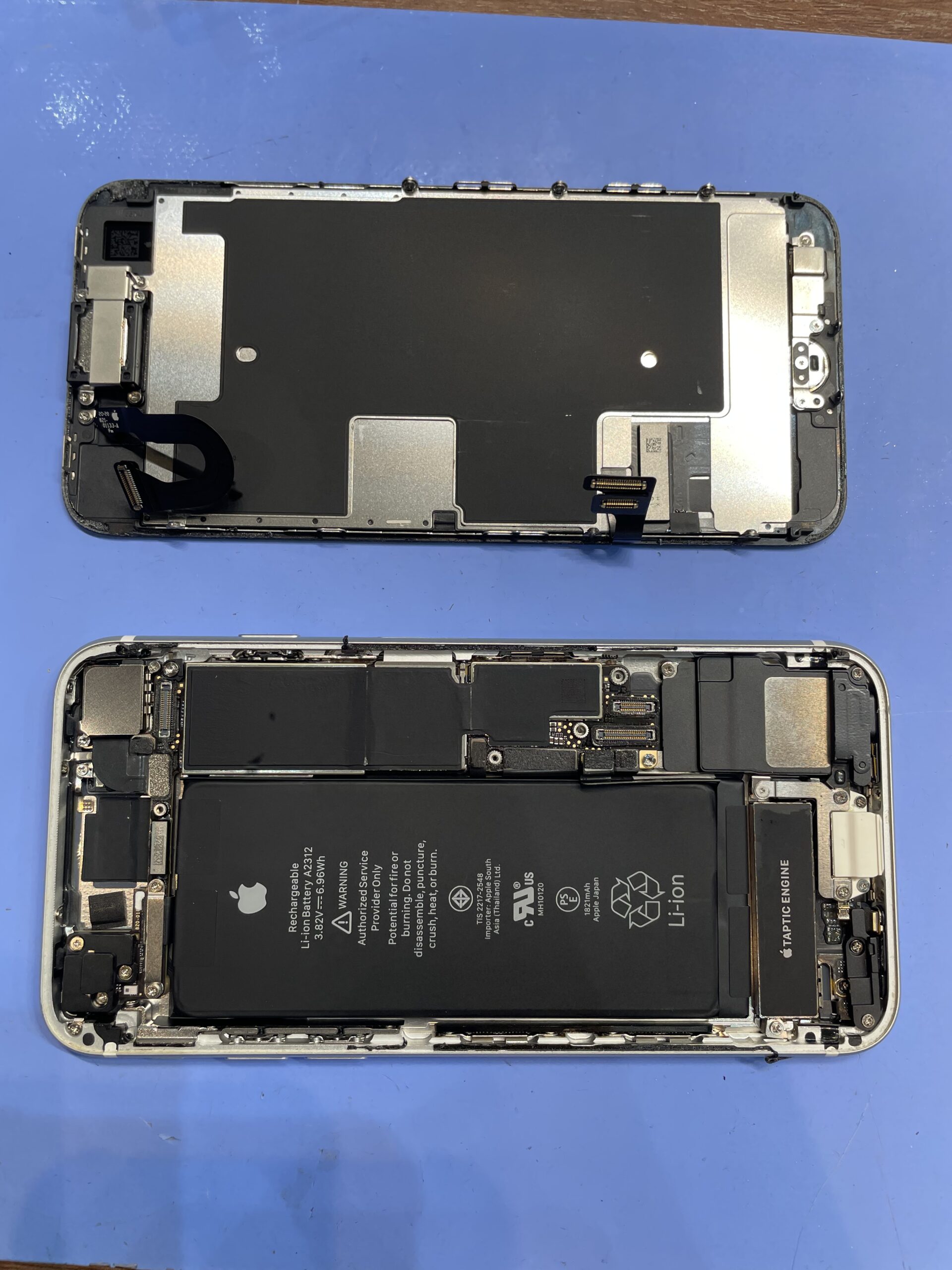 iPhone SE(第2世代）バッテリー交換