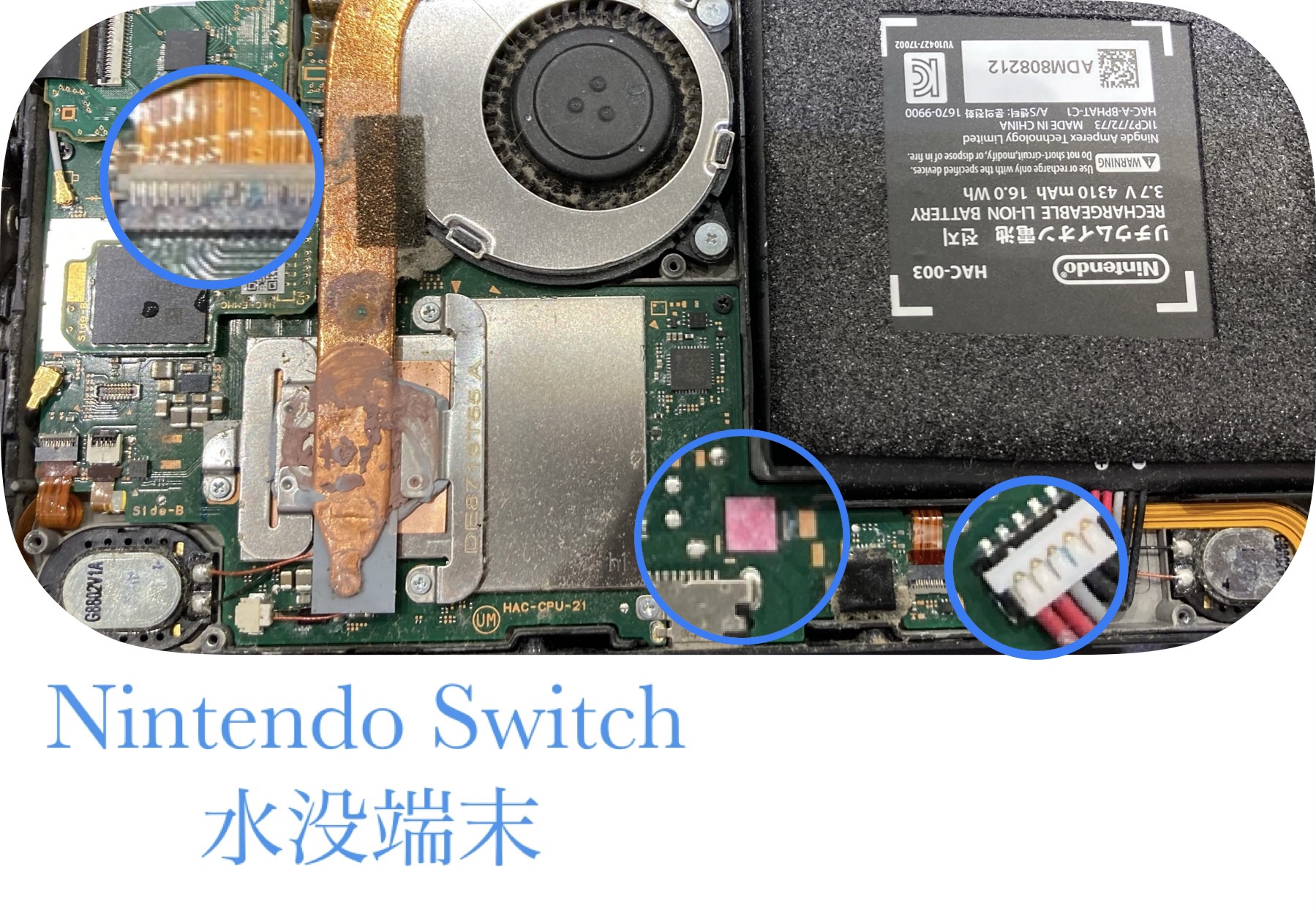 水没 したら気を付けること！