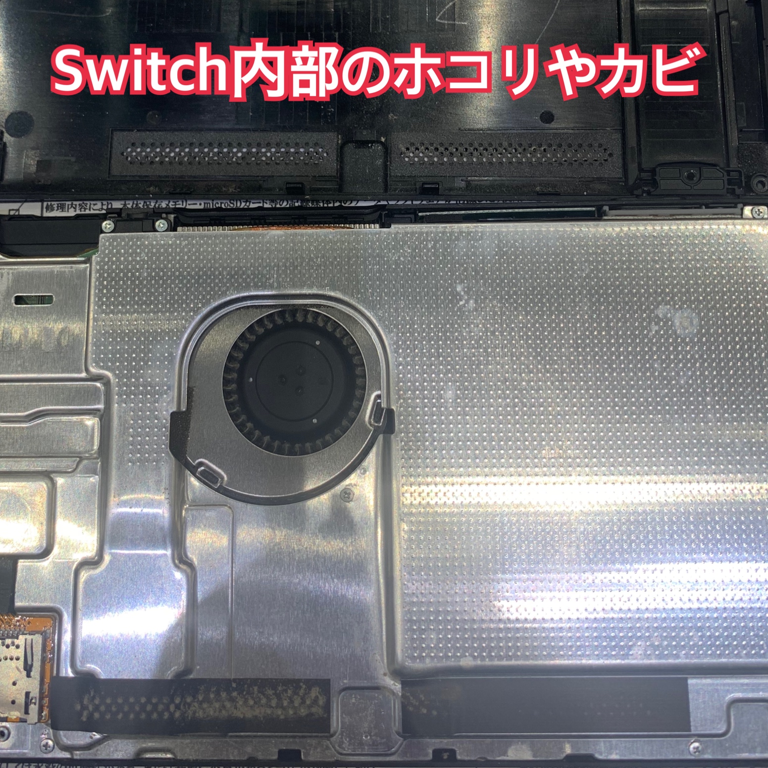 Switch 内部のホコリやカビ放置していませんか！？