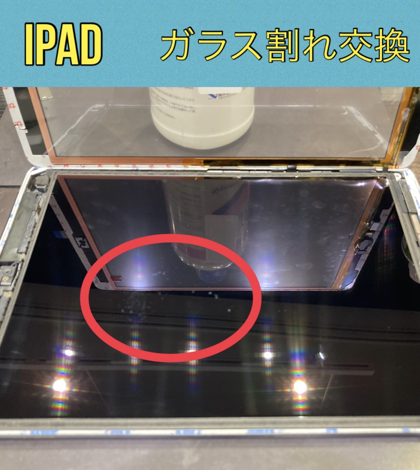 iPad ガラス割れ 修理受付けています！